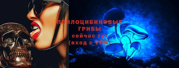 герыч Вяземский