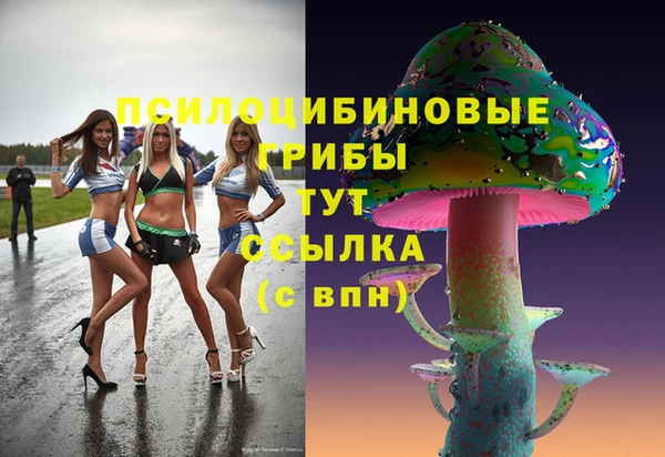 ПСИЛОЦИБИНОВЫЕ ГРИБЫ Вязники