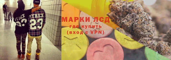 ПСИЛОЦИБИНОВЫЕ ГРИБЫ Вязники