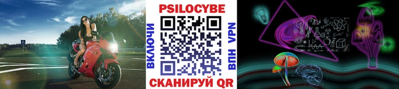 блэк спрут зеркало  Брюховецкая  Галлюциногенные грибы прущие грибы 